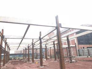 砼預(yù)制梁安裝現(xiàn)場 (3)