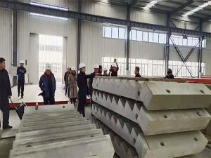 領導參觀指導工作 (2)